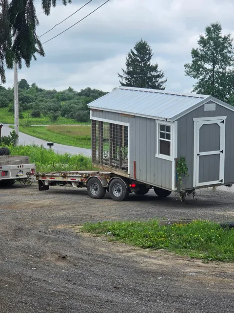 Past shed delivery and placement — photo 41